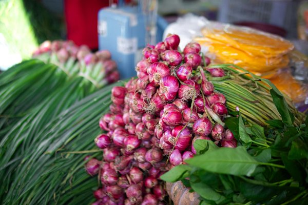 How are UK kitchen designs prioritizing accessibility?